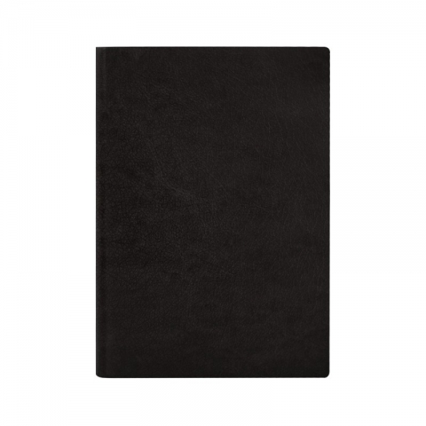 金得利B5商务皮面笔记本NT202黑色  100页