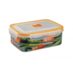 振兴牌 BX673方形中号密封 保鲜盒 2000ML-1