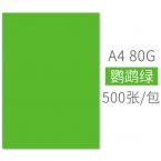 BESSIE彩色复印纸BS8208 A4 80G(500张) 鹦鹉绿-1