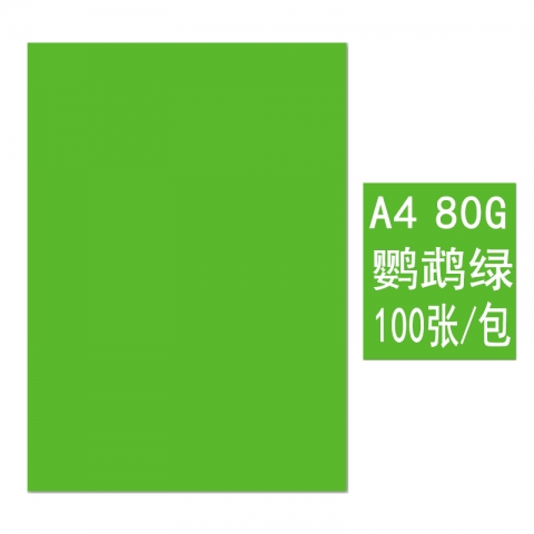 BESSIE彩色复印纸BS8108 A4 80G(100张) 鹦鹉绿