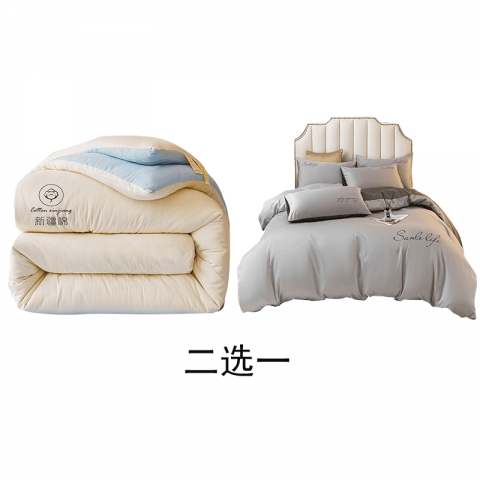 2511月份 纯棉花-冬被180x220cm//四件套被子200*230cm（二选一）-6